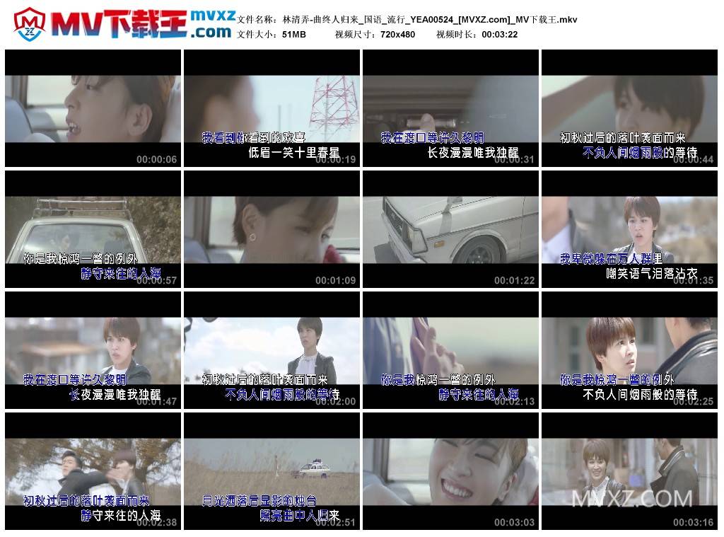 林清弄-曲终人归来_国语_流行_YEA00524